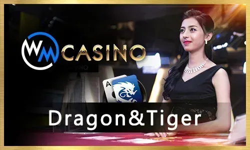 Person playing slot game on mobile