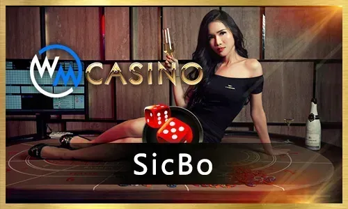 Player enjoying phdream online casino games on a mobile device